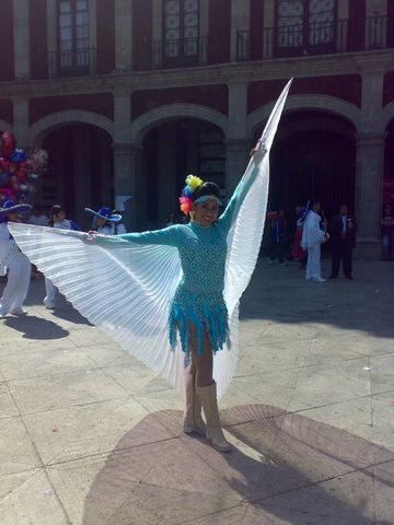 Bailarina del Centro Educativo Fénix, luce Alas de isis tornasol blanco